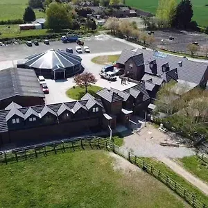 Appaloosa With Amazing Views Of Stud Farm. Driffield
